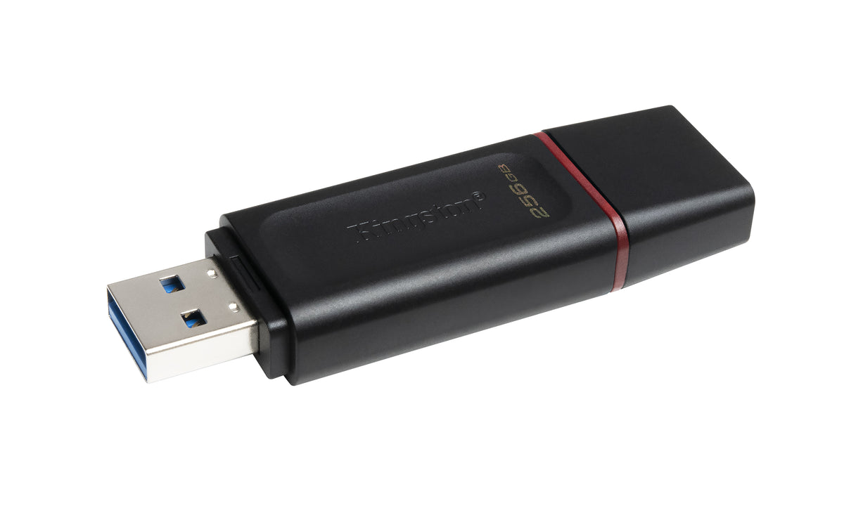 PENDRIVE KINGSTON DTX/256GB USB 3.3