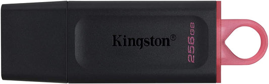 PENDRIVE KINGSTON DTX/256GB USB 3.3