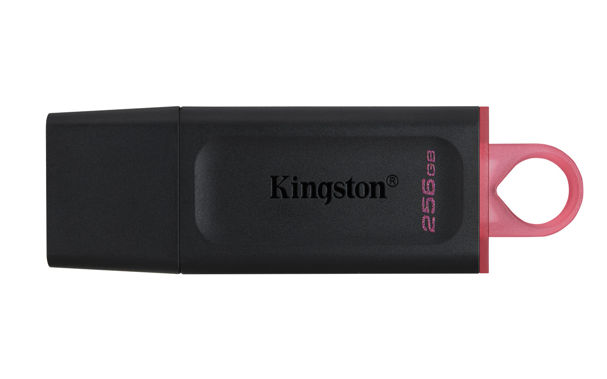 PENDRIVE KINGSTON DTX/256GB USB 3.3