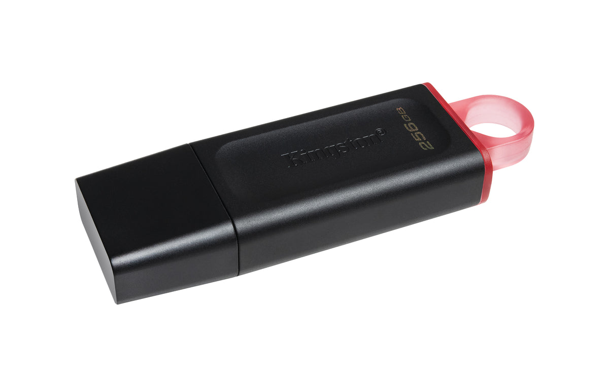 PENDRIVE KINGSTON DTX/256GB USB 3.3