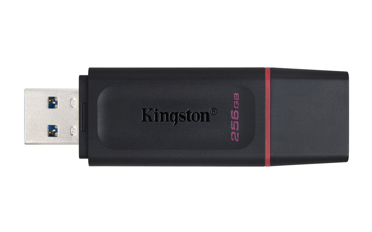 PENDRIVE KINGSTON DTX/256GB USB 3.3