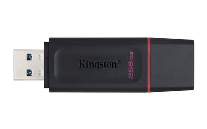 PENDRIVE KINGSTON DTX/256GB USB 3.3
